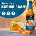 thumbnail image 2 of Syruvia Sugar Free Mandarin Orange Flavored Syrup for Drinks, Cocktails, Lemonades, Iced Teas and Desserts – 25.4 fl oz, 2 of 7