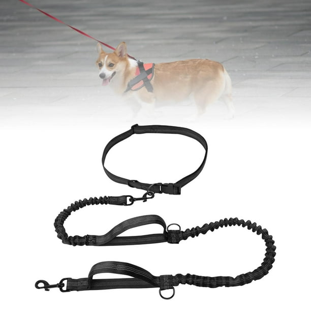 Anti shock leash online