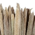 thumbnail image 2 of Vickerman Natural Botanicals 24" Babala Natural. Includes 75 pieces per unit., 2 of 6