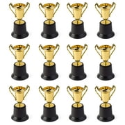 Neliblu Gold Award Trophy Cups 5" - Bulk Pack of 12 First Place Winner Trophies for Kids and Adults - Fake Trophy Set and Other Trophys