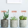 thumbnail image 3 of Yuarrent Etiquetas de plantas ligeras de Metal, 10 Uds., flores, hierbas y verduras, etiquetas de plantas de Metal, suministros de jardín Jardín y Patio, 3 of 6
