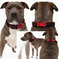 thumbnail image 3 of Double Layer Fabric Dog Collar with Breathable Reflective Design for Senior Pet Comfort and, 3 of 5