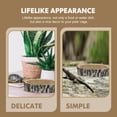 thumbnail image 1 of unbranded Para Comida Y De Reptiles Con Apariencia Imitación, 1 of 8