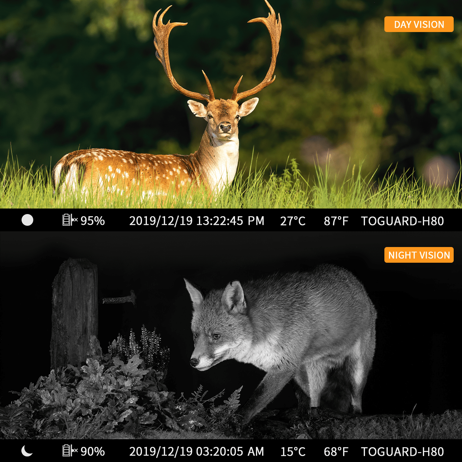 Campark WiFi Trail Camera 24MP 1296P Bluetooth Game Camera with Night Vision Waterproof IP66 Motion Activated