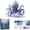 A-6A, variant on MMJ Mythical Ocean DIY Bead Kit for Beginners Crystal Sea Glass Beads Jewelry Making Set with Instructions