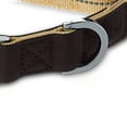 thumbnail image 5 of Vibrant Life Premium Dog Collar, Tan, Large, 5 of 7