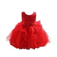 thumbnail image 1 of Coerni Robe de Soirée en Tulle Sans Manches pour Filles, Robe de Princesse, Robe de Mariage, Robe de Fête d'Anniversaire, 1 of 4