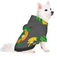 thumbnail image 2 of Honeii Spring St Patrick’S Day Irish Gnomes Print Small Dog Hoodies Pet Hooded Sweatshirts Fall Winter Puppy Cat Sweaters Warm Clothes for Small Dogs Outfits Costume-X-Small, 2 of 7