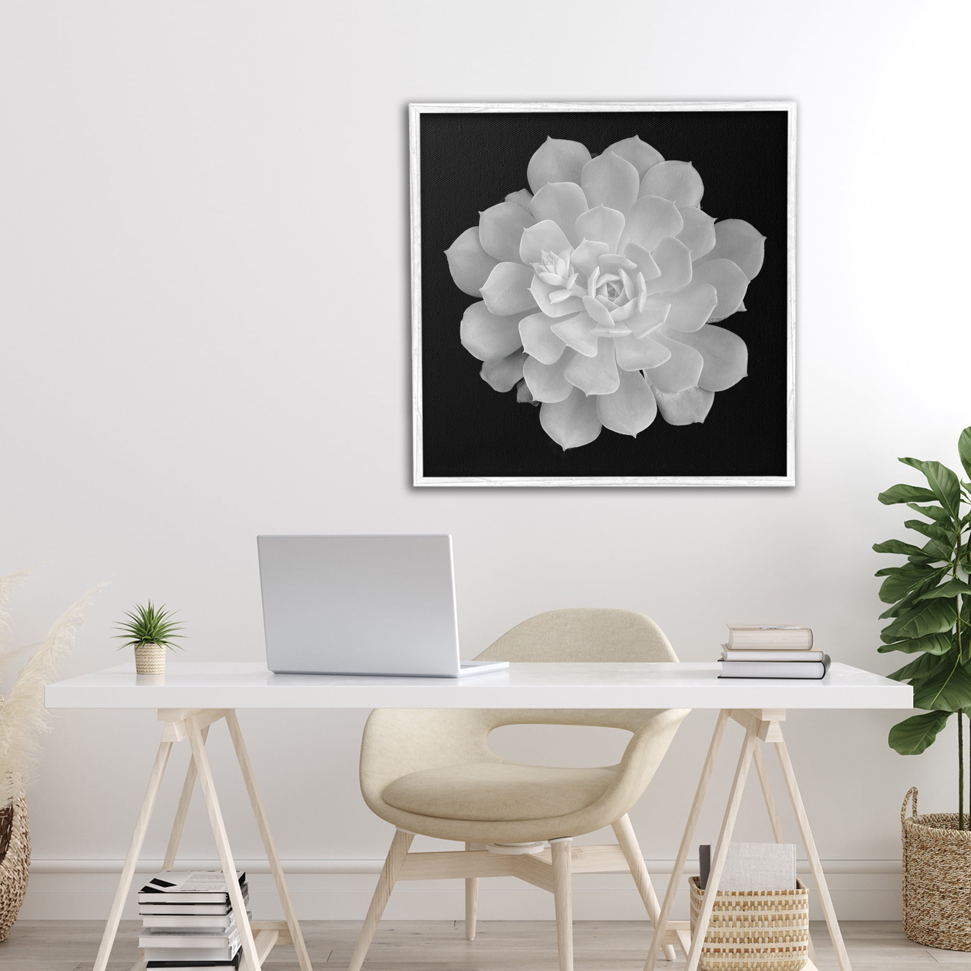 Pure White Succulent Contrast White Framed Giclee Art, design by Phillip Flowers