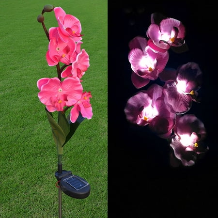 Outdoor Solar Lights, Waterproof Butterfly Orchid Garden Light, Decorative Flower 5 LED Lamp, Landscape Lighting for Lawn Patio Pathway