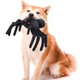 thumbnail image 4 of Perro de peluche de juguete con chirrido, Animal de peluche, juguete interactivo para masticar forrajeo, araña negra, 4 of 4
