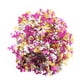 thumbnail image 3 of Confeti De Hadas ANGGREK Delicado Respetuoso Con El Medio Ambiente Brillo A Granel Para Decoración De Fiestas, 3 of 8