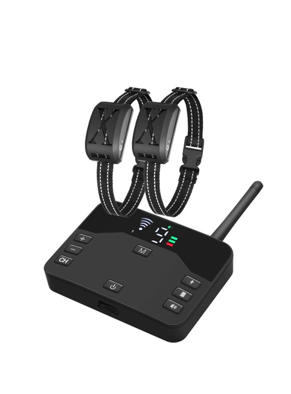 Invisible Electric Dog Fences in All Dog Gates