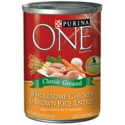 Purina One Chicken & Brown Rice Wet Dog Food, 13 Oz, High Protein for Muscles (Pack of 17)