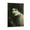 Frame-style, variant on Constance Binney American Stage,Film Actress Print Poster (3) Art Poster Canvas Painting Decor Wall Print Photo Gifts Home Modern Decorative Posters 16x24inch(40x60cm)