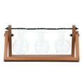 thumbnail image 6 of Better Homes & Gardens 11.3 in L x 4.3 in W x 5.5 in H Glass and Wood Propagation Vase Station Set, 6 of 11