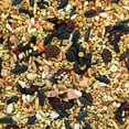 thumbnail image 3 of HARI Gourmet Premium Bird Seed Mix for Cockatiels, 1.13kg, 3 of 6