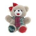 thumbnail image 1 of MEDIUM SNOWFLAKE TEDDY RED GIRL, 1 of 5