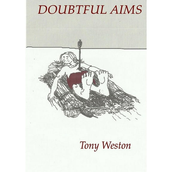 Doubtful Aims, (Paperback)