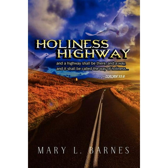 Holiness Highway (Paperback)