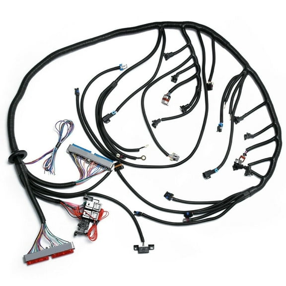 Standalone Wiring Harness T56 or Non-Electric Tran For LS1 97-06 4.8 5.3 6.0 DBC