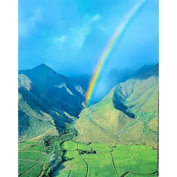 8" X 10" Color Prints with Gloss Lamination