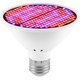 thumbnail image 2 of Dontodent 300 LED Planta de interior Crecimiento Bombilla Espectro Rojo y azul 31 LED Planta Muebles E27 Lámpara de cultivo para plántulas hidropónicas Flores suculentas Invernadero vegetal (85-265V), 300 LED Kuyhfg Sin marca, 2 of 5