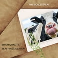 thumbnail image 3 of Tongue out Cow Funny Personalized License Plate Rust-proof Stainless Steel Metal License Plate Suitable For Men And Women 12.2" x 6.2", 3 of 7