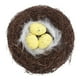 thumbnail image 1 of 1 PC Nido de pájaros artificiales Nido de Pascua Nido Nido hecho a mano Ornamento de Pascua, 1 of 6
