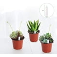 thumbnail image 3 of JERIA Paquete de 100 macetas de plástico para vivero de plantas de 4 pulgadas vienen con 100 etiquetas para plantas, contenedor para plantas de flores y macetas para iniciar semillas, 3 of 7