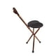 thumbnail image 1 of Bastones Plegables Con Asiento, Bastón Plegable, Silla, Taburete, Bastón De Vije, aleación De Aluminio Con Agarre Antideslizante Para Personas Mayores, 1 of 7