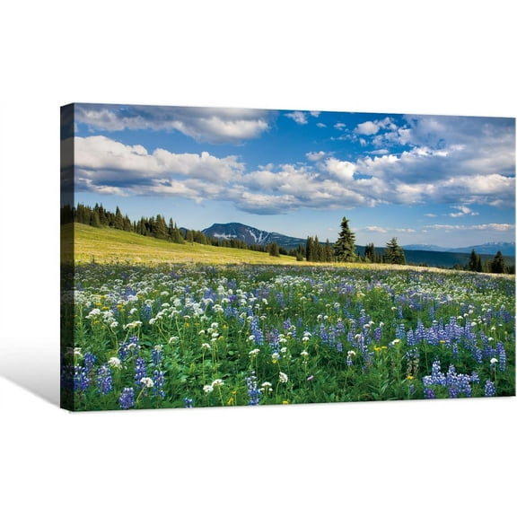 Aaheei Landscape Canvas Wall Art Nature National Park Picture Bluebonnet Flowers Field Modern Canvas Artwork Beautiful Nature Scenery Photo Prints Home Decoration for Living Room Bedroom Kitchen