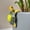 Green Sea Turtle, variant on Cute Cartoon Tortoise Flower Pot Hugger Figurine Resin Climbing Turtle Statue Outdoor Hanging Animals Sculpture Planter Pot Decorations for Garden Patio Lawn Yard Ornaments