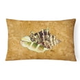 thumbnail image 1 of Carolines Treasures 8658PW1216 Shell Indoor & Outdoor Fabric Decorative Pillow, 1 of 3