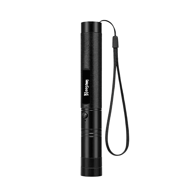 Puntero Láser Bloosom Verde Proyector Carga Usb Recargable 5000mw Verde