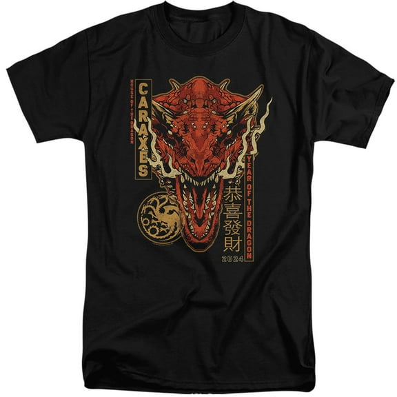 House of the Dragon Targaryen Year of the Dragon Unisex Adult Tall T Shirt ,Black, 3X-Large