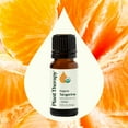 thumbnail image 3 of Plant Therapy Tangerine Organic Essential Oil 10 mL (1/3 oz) 100% Pure, Undiluted, Natural Aromatherapy, 3 of 9