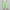 Green, variant on Clearance SEMPAI Cropped Legging Casual Pants Mid 100%Polyester Womens Pants Winter Pants Straight Trendy Plus Size Pants for Women for Women Pants for Women 2024 Clearance