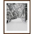 thumbnail image 2 of Art.com Path Through a Forest in Winter Photographic Print by Marcus Lange, Brown Frame Wall Art, 23" x 29", 2 of 5