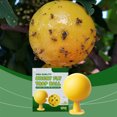 thumbnail image 5 of WUSUOWEI 1/2/3/4/5/6 PCS Round Shaped Fruit Fly Sticky Trap Gnat Fruit Fly Sticky Trap Gnat Catcher Indoor Outdoor Garden Living Room Bedroom Fly Sticky for Fly Catching, 5 of 5