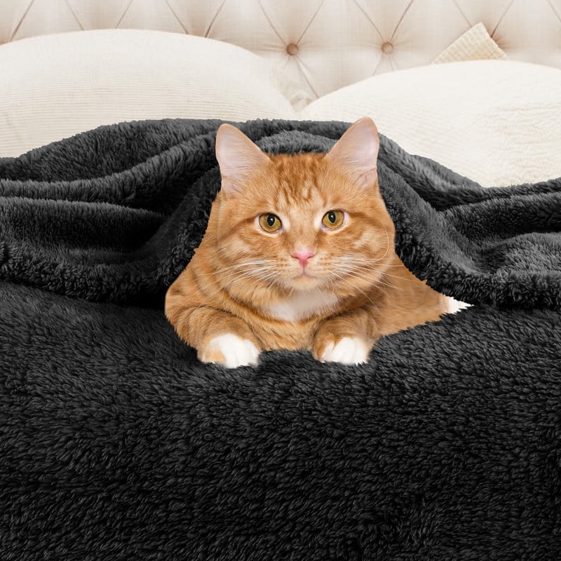 Superior Super Soft Plush Fleece Blanket 50" x 60", Bed & Couch Blankets, Throw, Black