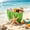 Green, variant on Medium EVA Beach Tote Bag, Waterproof Washable Portable Open Tote Bag for Beach, Pool, Outdoor Sports Travel