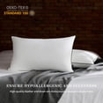 thumbnail image 2 of Juego de almohadas Feather Down, tamaño queen, 100% algodón, x2 Sanivosily, 2 of 7