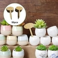 thumbnail image 3 of DOLITY Plant Labels Wooden Tags Set Vegetables Potted Nursery Garden Stake Note Indoor 50pcs Oval G, 3 of 7