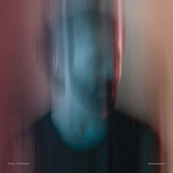 Peter Silberman - Impermanence - Rock - Vinyl