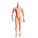 thumbnail image 1 of sweethay Modelo masculino a escala 1:6, juguetes coleccionables realistas flexibles, accesorios de regalos para niños, muñeco esculpido ligero Kits de construcción modelo, 1 of 6