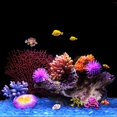 thumbnail image 4 of Holzlrgus 1Pc of Polyresin Coral Ornaments, Aquarium Coral Decor for Fish Tank Aquarium Decoration 5.11" x 3.93" x 2.75", 4 of 6