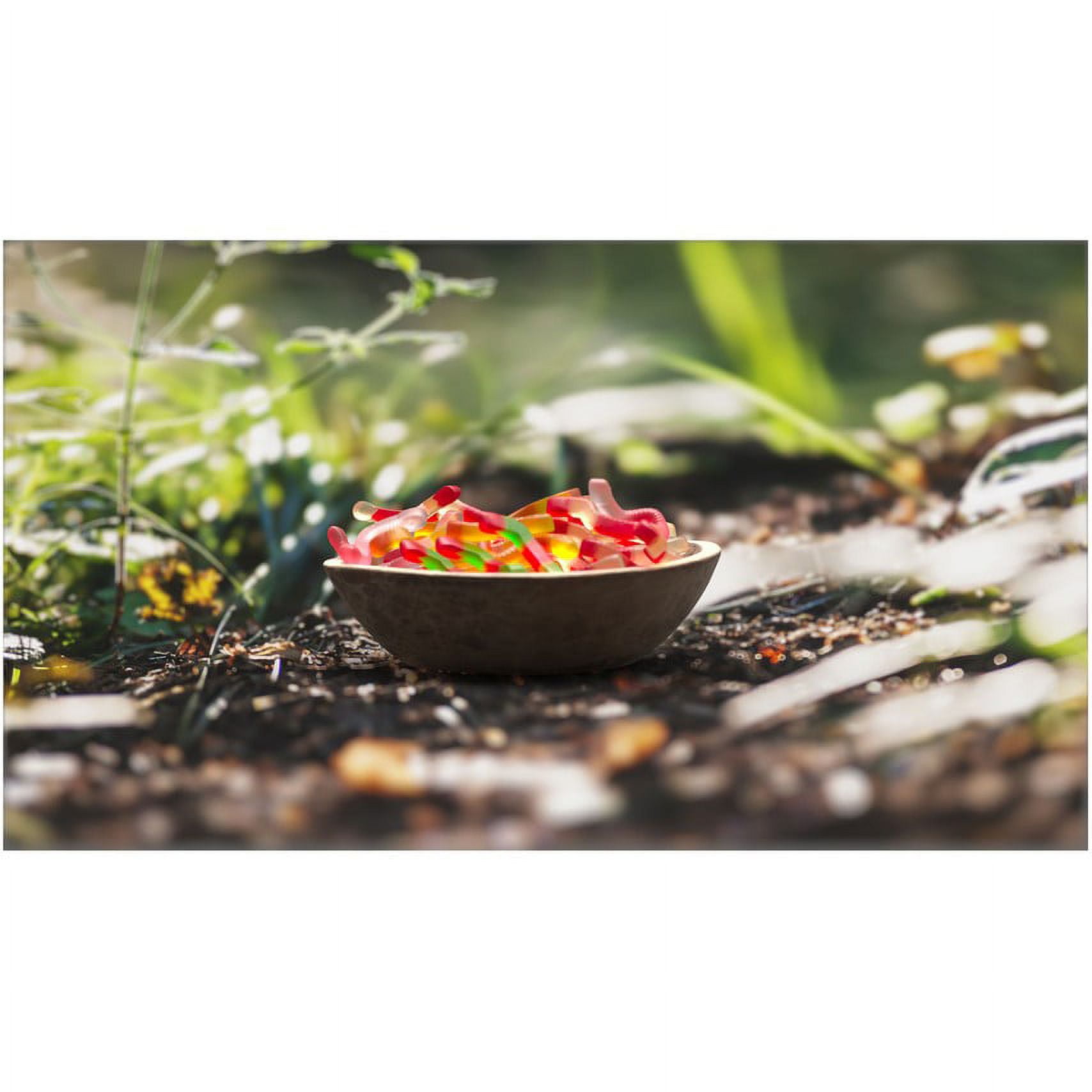 Black Forest Gummy Worms Bag, 5 Lb