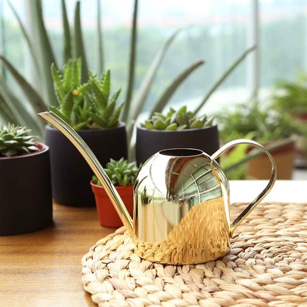 Regadera para plantas de metal inoxidable Jardín interior Regadera de metal Boca larga Regadera para exteriores con pico para plantas domésticas Hervidor Jardinería Wateri. Afortunado Sencillez