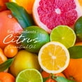 thumbnail image 3 of VIOIS, Orange & Citrus Aromatherapy Car Air Freshener(Gel Type). Handcrafted Natural Air Freshener for Car and Small room. Chemical Free & Non-Toxic., 3 of 6